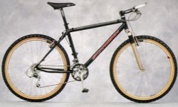 1995 small homegrown hardtail