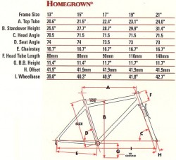 1998 hg geo